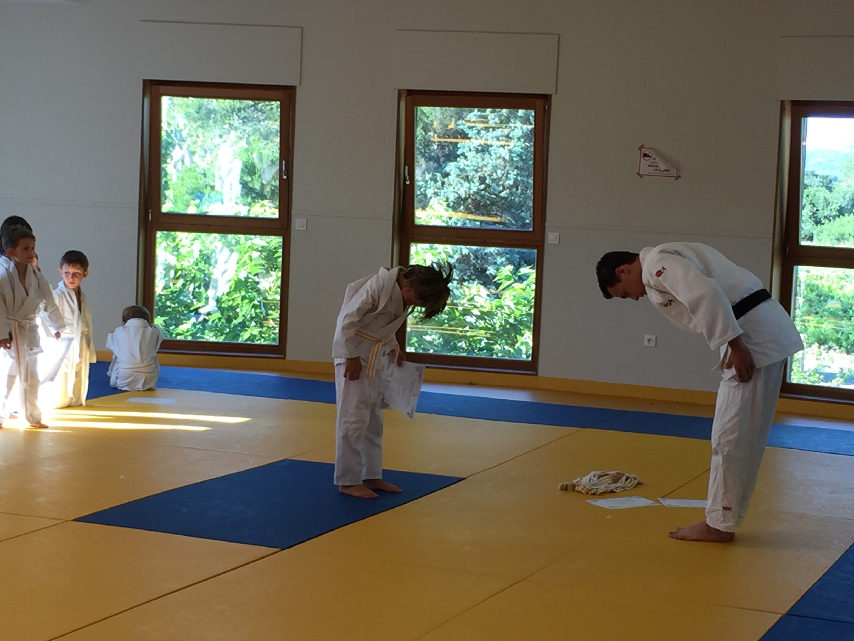 Judo