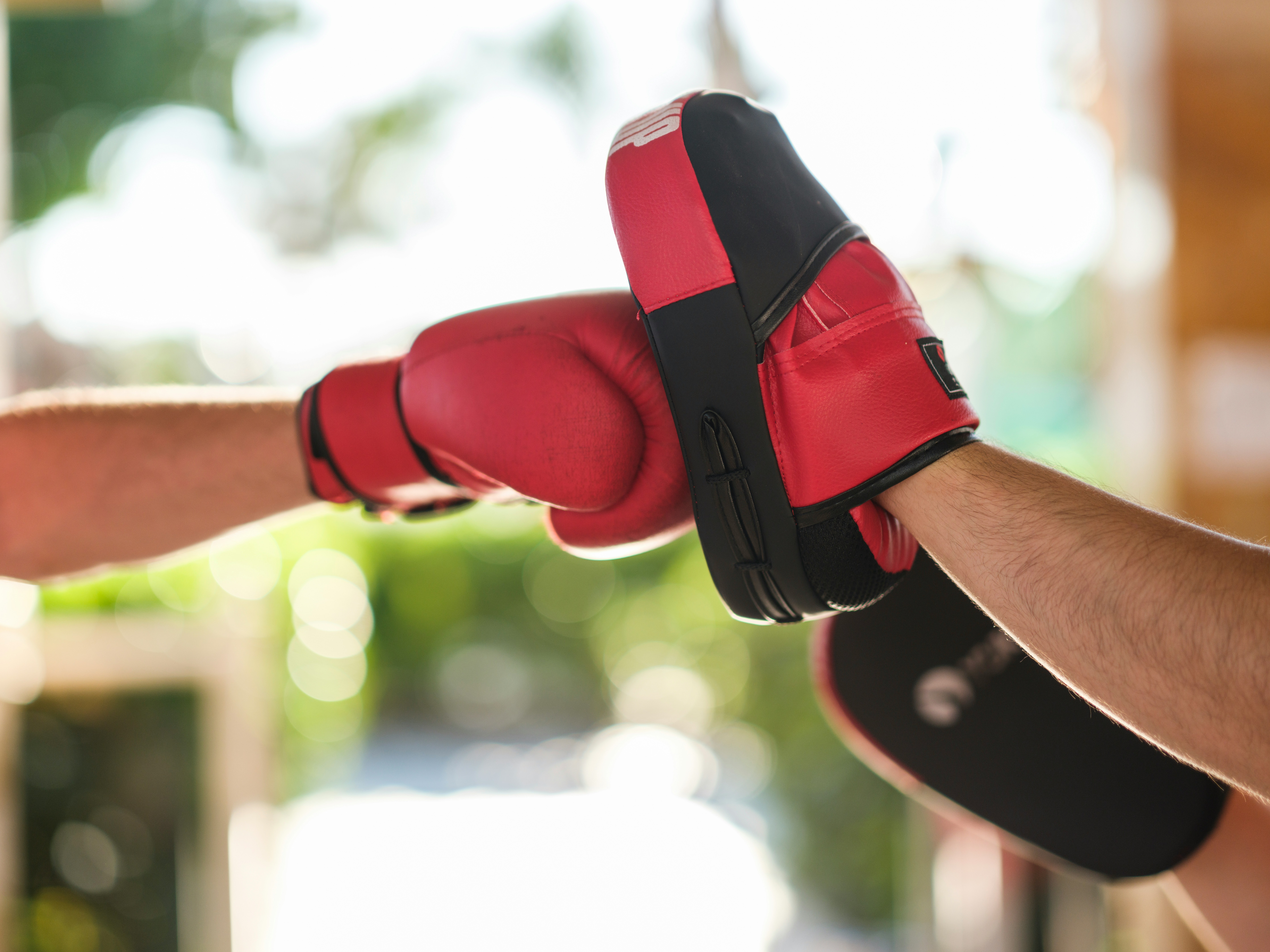 Boxe Pieds Poings - Arts martiaux